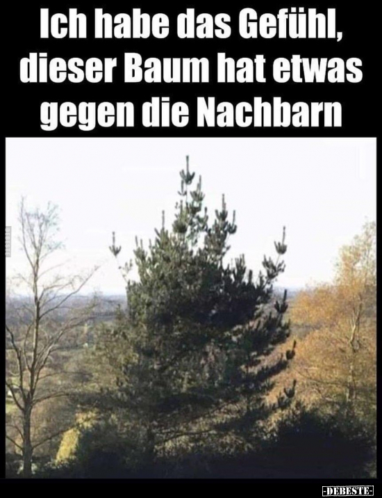 Ich habe das Gefühl, dieser Baum hat etwas gegen die.. - Lustige Bilder | DEBESTE.de