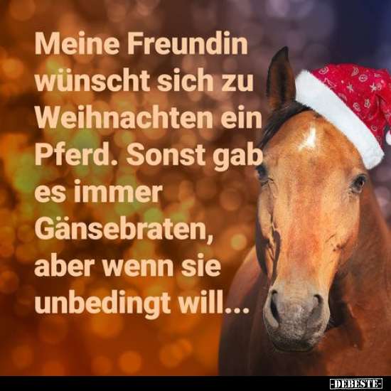 Meine Freundin wünscht sich zu Weihnachten ein Pferd... - Lustige Bilder | DEBESTE.de