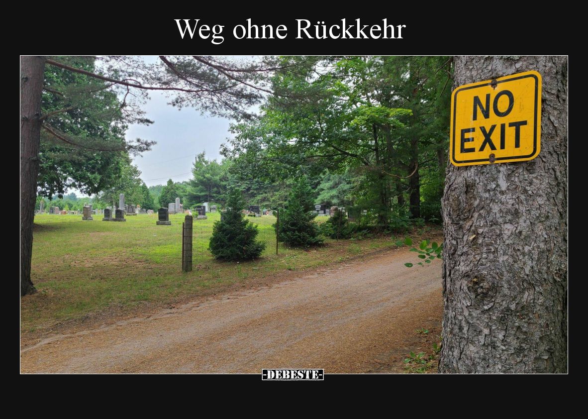 Weg ohne Rückkehr