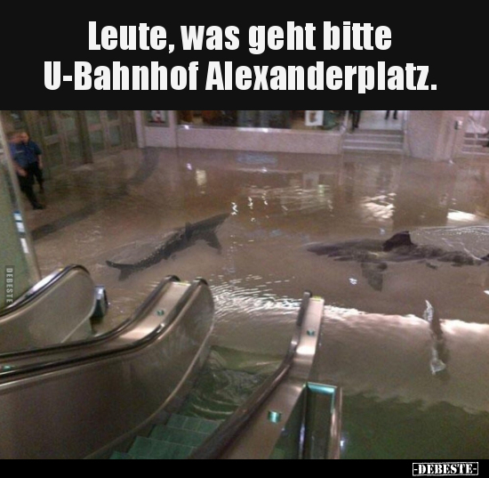 Leute, was geht bitte U-Bahnhof Alexanderplatz... - Lustige Bilder | DEBESTE.de
