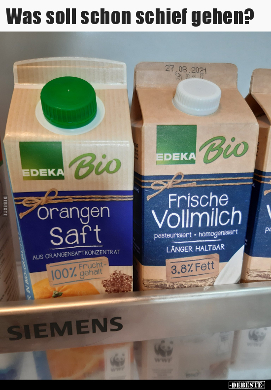 Was soll schon schief gehen?..