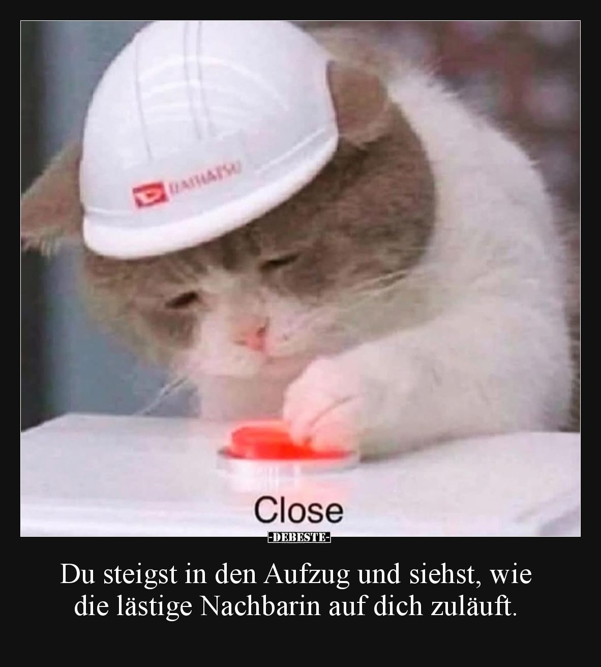 Du steigst in den Aufzug und siehst, wie die lästige Nachbarin auf dich zuläuft.