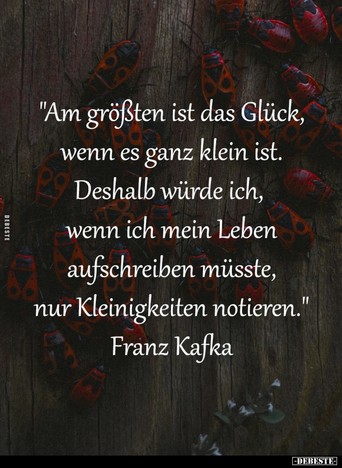 "Am größten ist das Glück,
wenn es ganz klein ist.
Deshalb würde ich, 
wenn ich mein Leben
aufschreiben müsste,
nur...