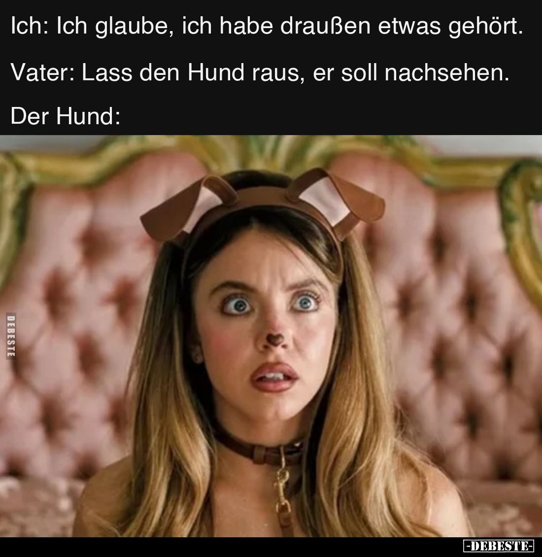 Ich: Ich glaube, ich habe draußen etwas gehört.

Vater: Lass den Hund raus, er soll nachsehen.

Der Hund: