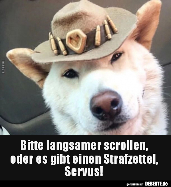 Bitte langsamer scrollen, oder es gibt einen Strafzettel.. - Lustige Bilder | DEBESTE.de