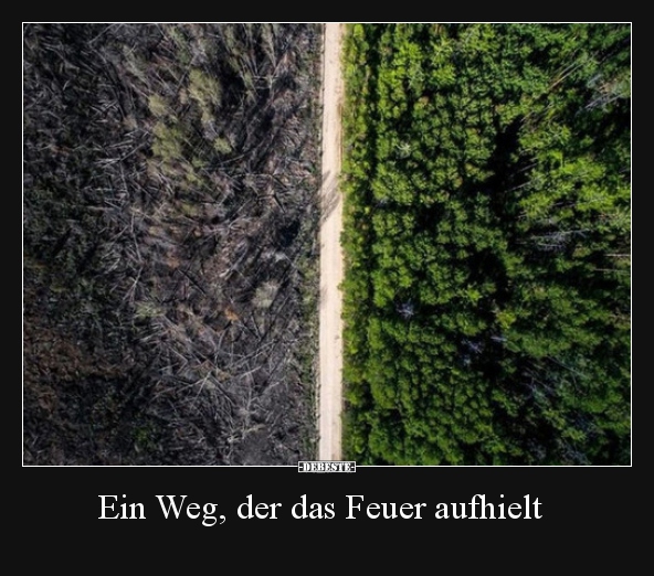 Ein Weg, der das Feuer aufhielt.. - Lustige Bilder | DEBESTE.de