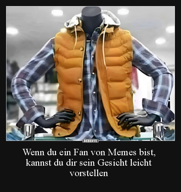 Wenn du ein Fan von Memes bist, kannst du dir sein.. - Lustige Bilder | DEBESTE.de