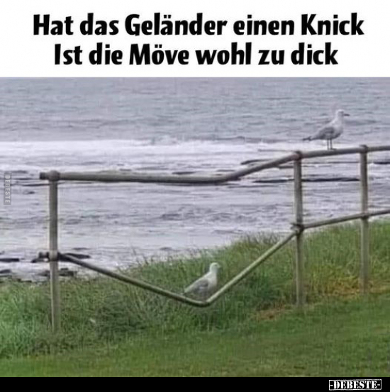 Hat das Geländer einen Knick?.. - Lustige Bilder | DEBESTE.de