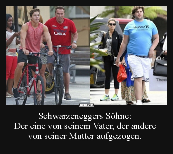Schwarzeneggers Söhne: Der eine von seinem Vater, der.. - Lustige Bilder | DEBESTE.de