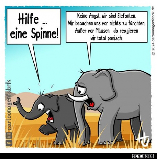 Hilfe... eine Spinne!.. - Lustige Bilder | DEBESTE.de