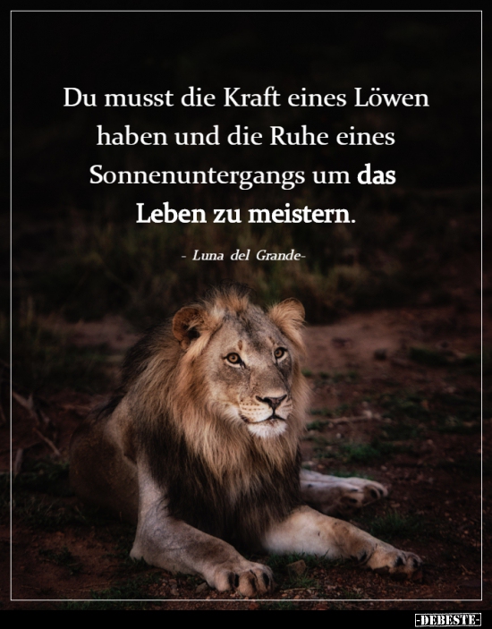 Du musst die Kraft eines Löwen haben und die Ruhe eines.. - Lustige Bilder | DEBESTE.de