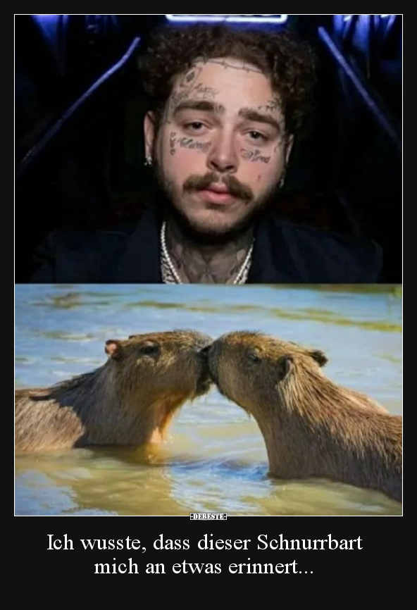 Ich wusste, dass dieser Schnurrbart mich an etwas..