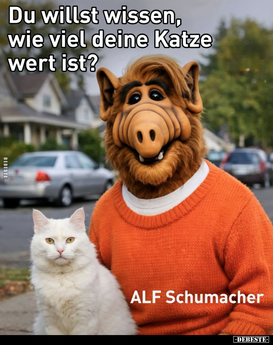 Du willst wissen, wie viel deine Katze wert ist?

ALF Schumacher.