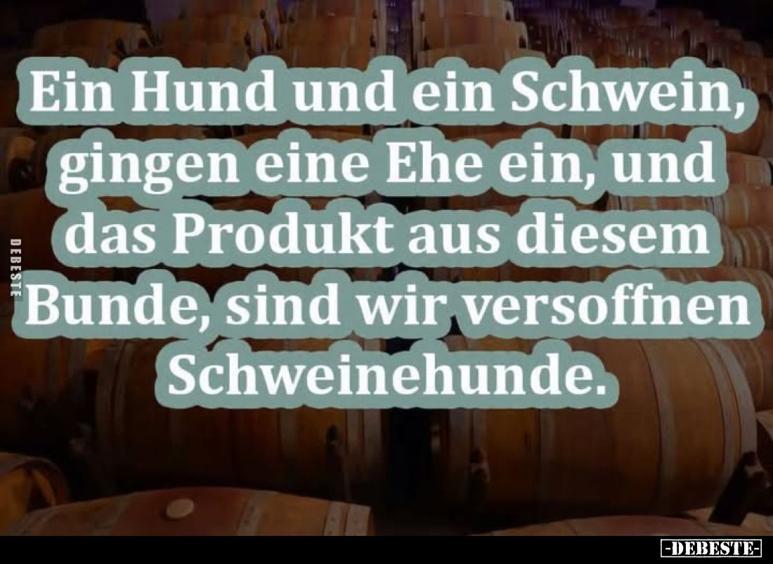Ein Hund und ein Schwein, gingen eine Ehe ein, und das Produkt aus diesem Bunde, sind wir versoffnen Schweinehunde.