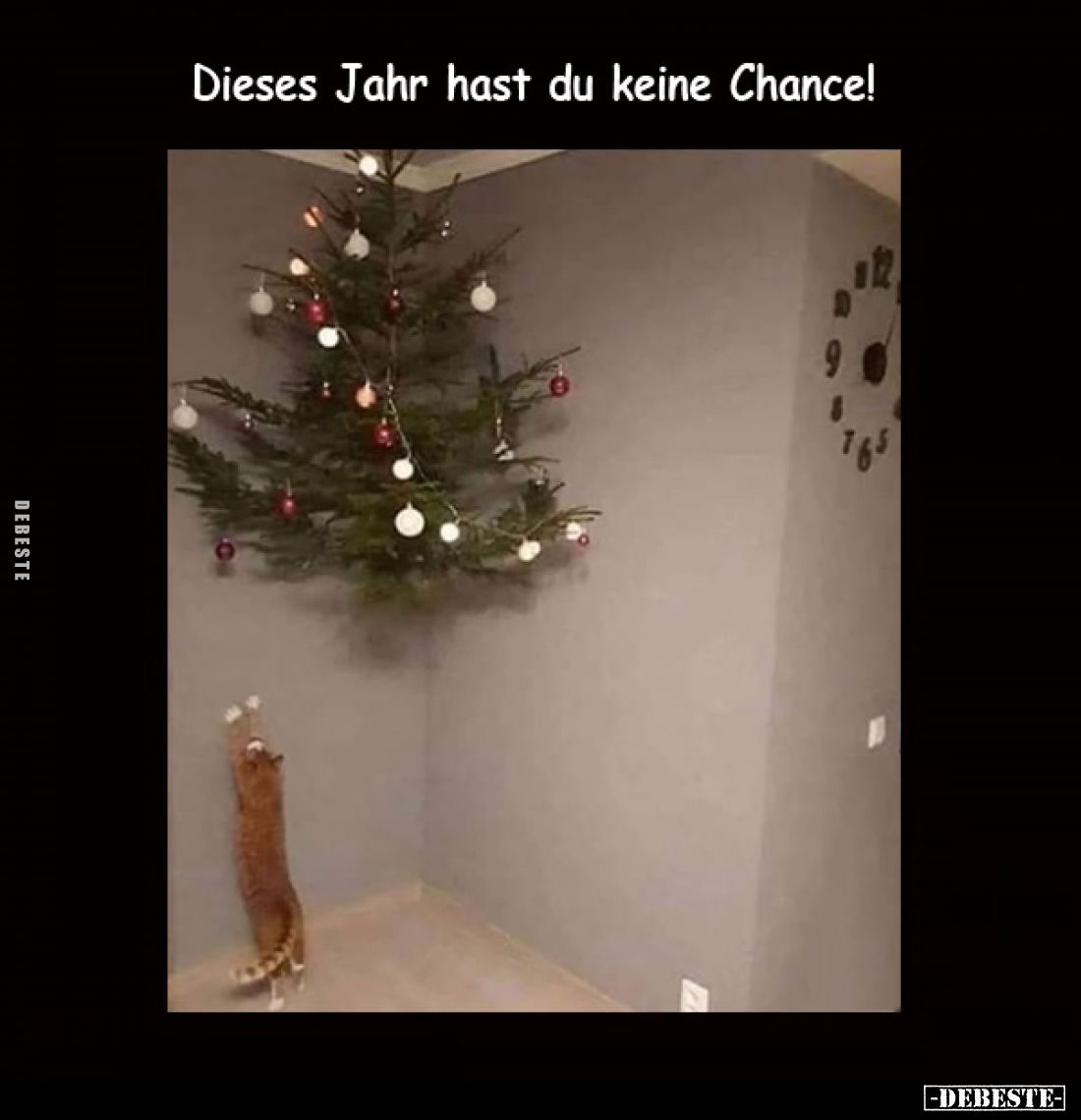 Dieses Jahr hast du keine Chance!.. - Lustige Bilder | DEBESTE.de