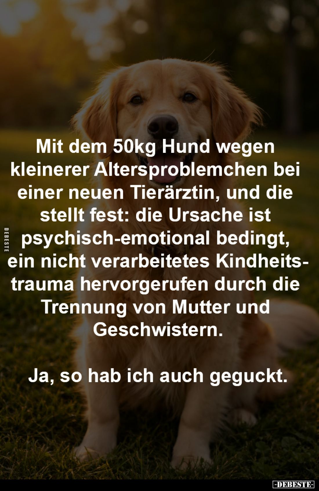Mit dem 50kg Hund wegen kleinerer 
Altersproblemchen bei einer neuen 
Tierärztin, und die stellt fest: 
die Ursache ist ps...