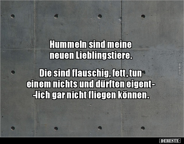Hummeln sind meine neuen Lieblingstiere... - Lustige Bilder | DEBESTE.de