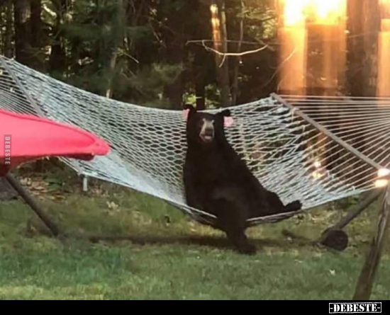  - Lustige Bilder | DEBESTE.de