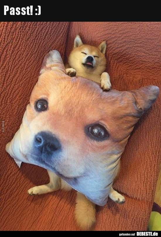 Passt! :)