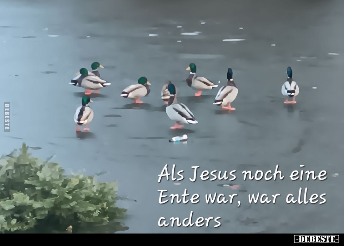 Als Jesus noch eine Ente war, war alles anders.