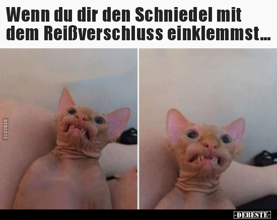 Wenn du dir den Schniedel mit dem Reißverschluss..