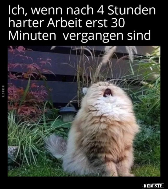 Ich, wenn nach 4 Stunden harter Arbeit erst 30 Minuten vergangen sind