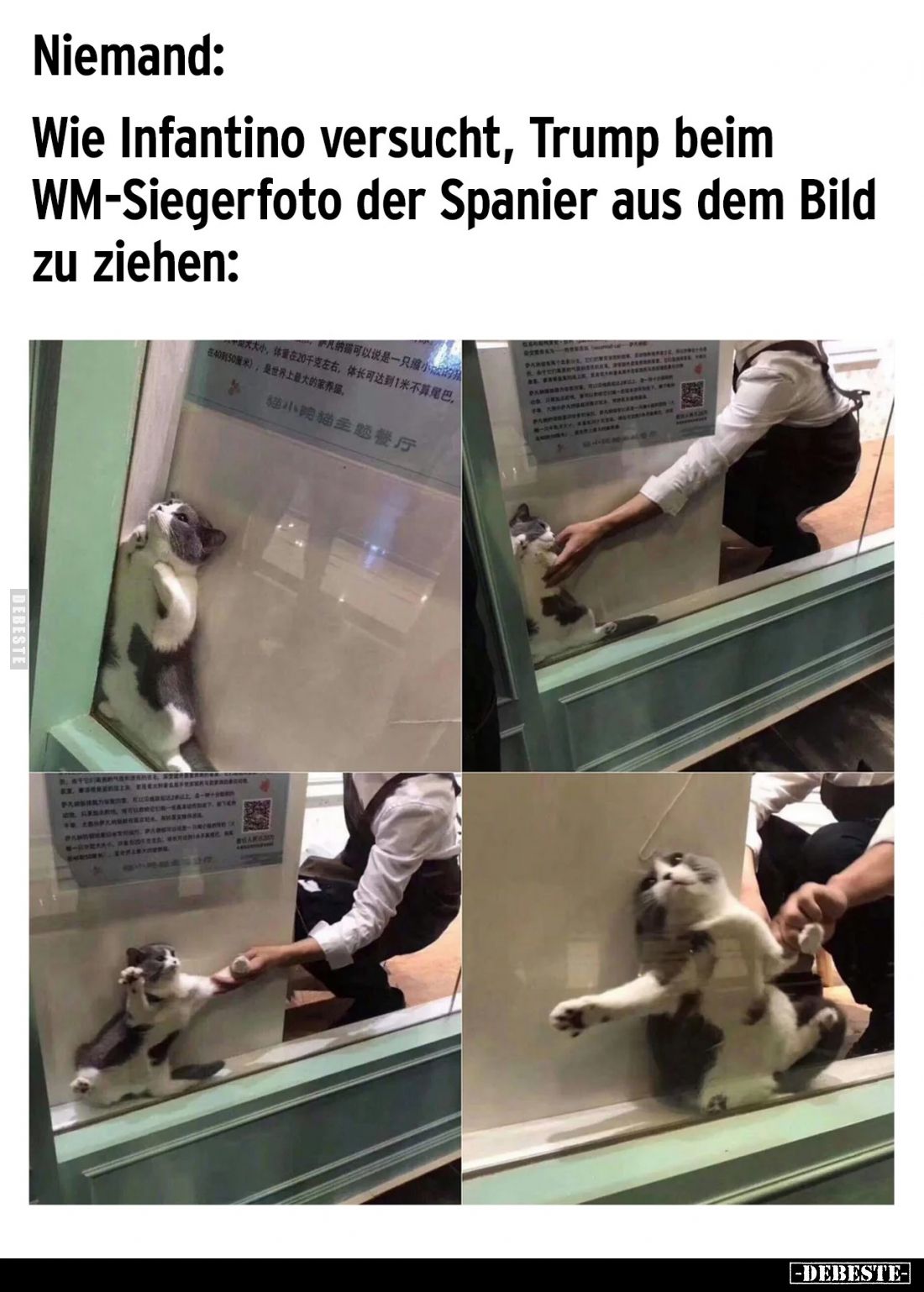 Niemand: -
Wie Infantino versucht, Trump beim WM-Siegerfoto der Spanier aus dem Bild zu ziehen: