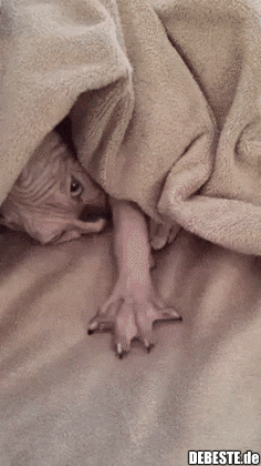 Komm schon, mach mit