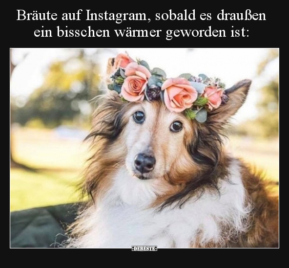 Bräute auf Instagram, sobald es draußen ein bisschen wärmer.. - Lustige Bilder | DEBESTE.de