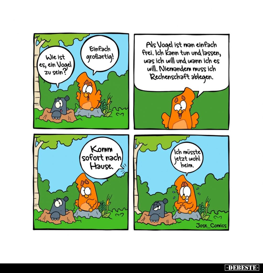 Wie ist es, ein Vogel zu sein?
Einfach großartig!
Als Vogel ist man einfach frei. Ich kann tun und lassen, was ich will...