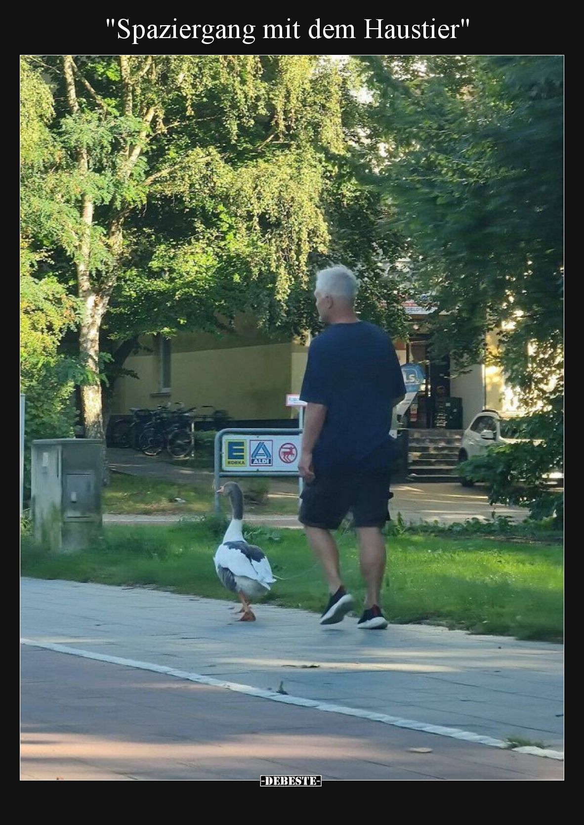 Spaziergang mit dem Haustier.