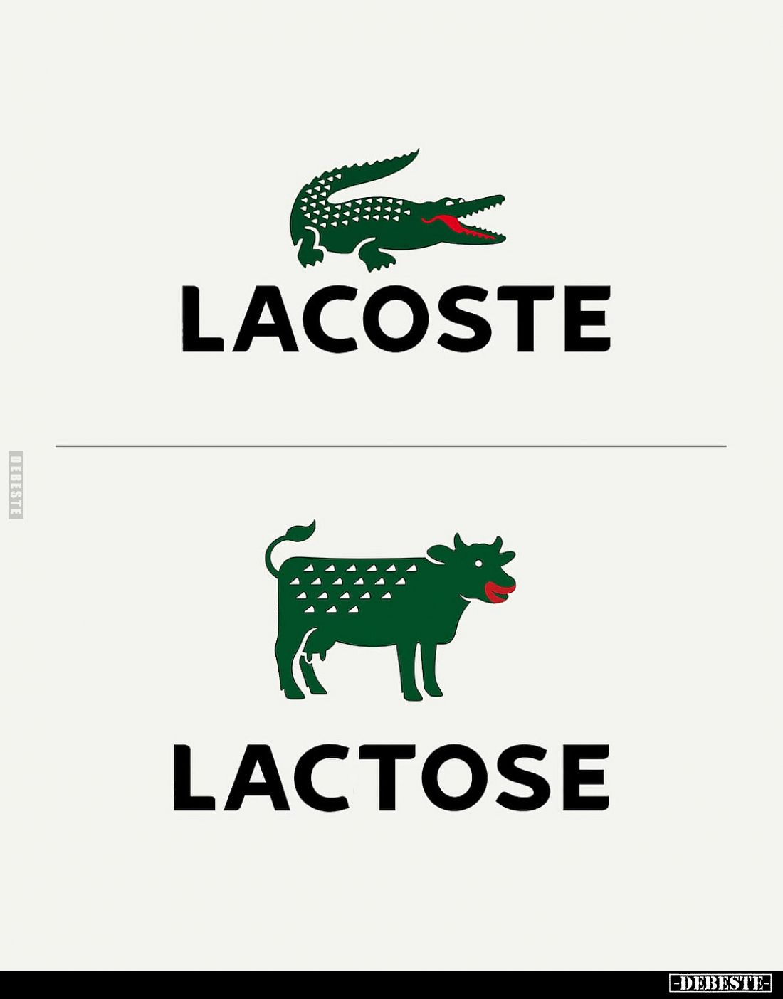 LACOSTE - LACTOSE