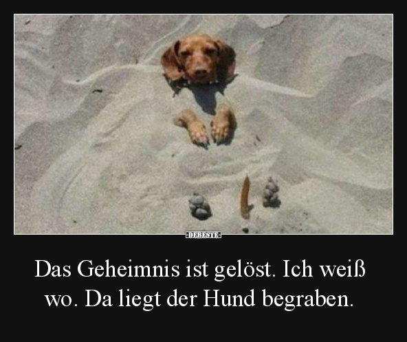 Das Geheimnis ist gelöst. Ich weiß wo. Da liegt der Hund begraben. - Lustige Bilder | DEBESTE.de