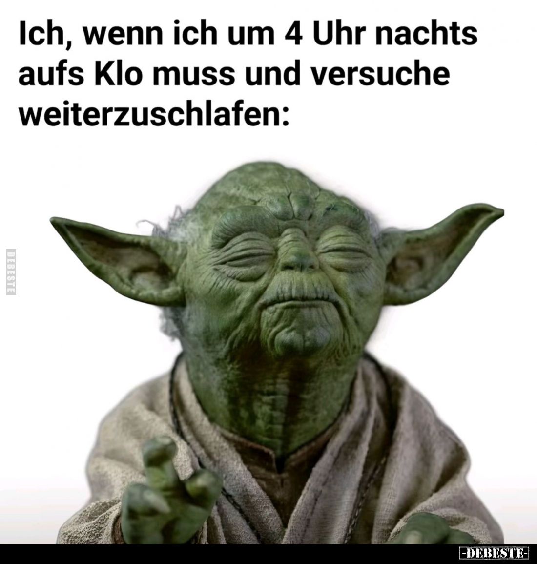 Ich, wenn ich um 4 Uhr nachts aufs Klo... - Lustige Bilder | DEBESTE.de