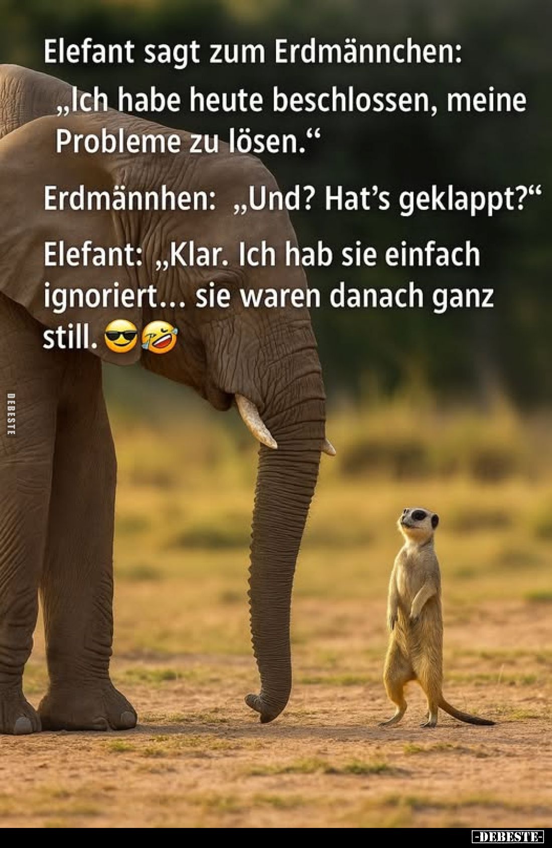 Elefant sagt zum Erdmännchen:
"Ich habe heute beschlossen, meine Probleme zu lösen." -
Erdmännhen: "Und? Hat...