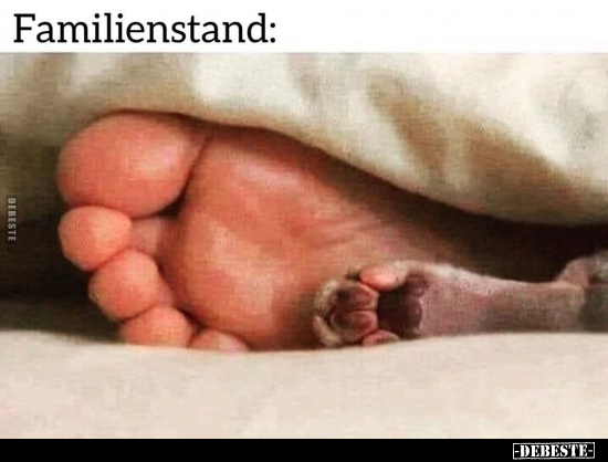 Familienstand.. - Lustige Bilder | DEBESTE.de