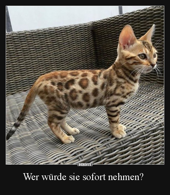 Wer würde sie sofort nehmen? - Lustige Bilder | DEBESTE.de