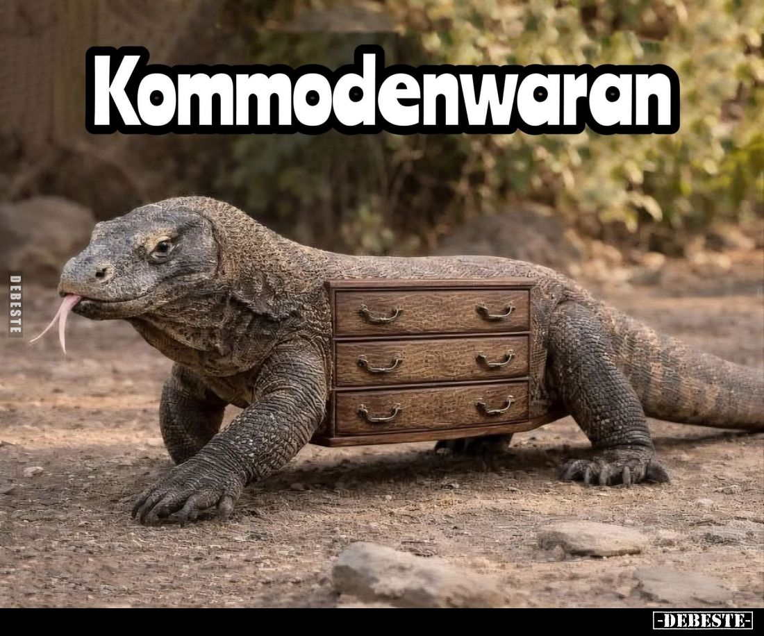 Kommodenwaran.