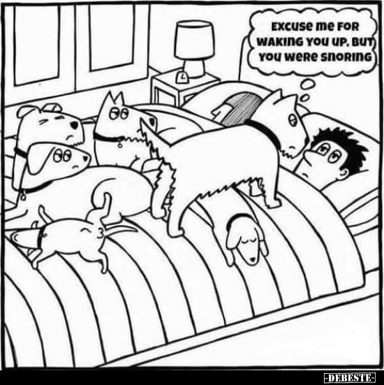  - Lustige Bilder | DEBESTE.de