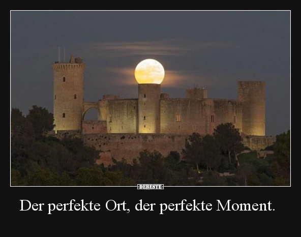 Der perfekte Ort, der perfekte Moment... - Lustige Bilder | DEBESTE.de