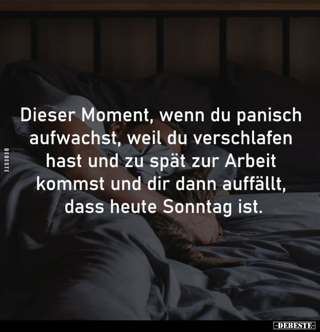 Dieser Moment, wenn du panisch 
aufwachst, weil du verschlafen 
hast und zu spät zur Arbeit 
kommst und dir dann auffällt,...