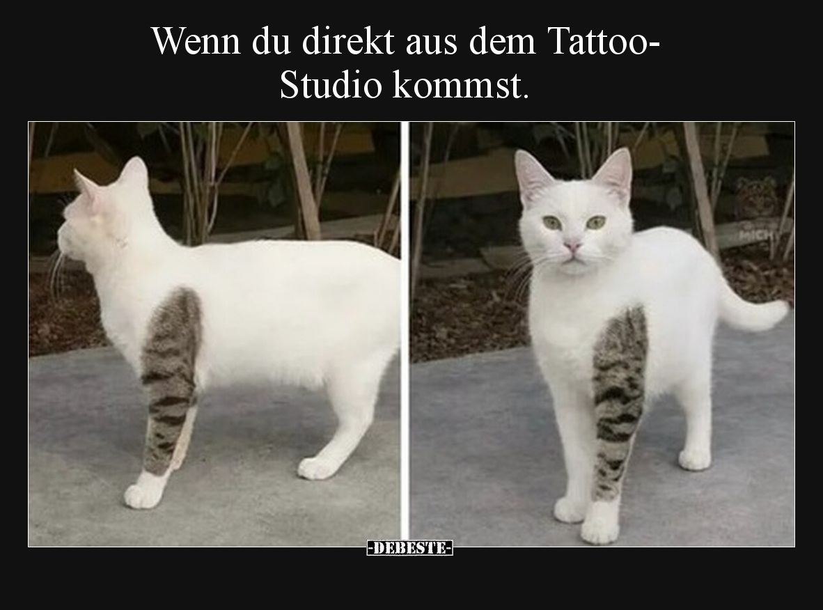 Wenn du direkt aus dem Tattoo-Studio kommst... - Lustige Bilder | DEBESTE.de