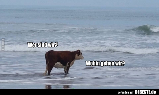 Wer sind wir? Wohin gehen wir?..