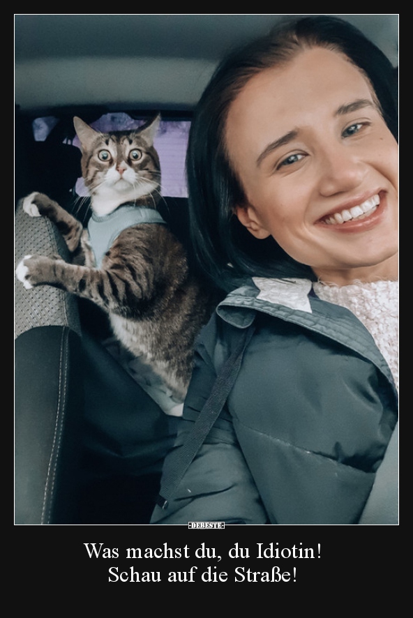 Was machst du, du Idiotin! Schau auf die Straße!..