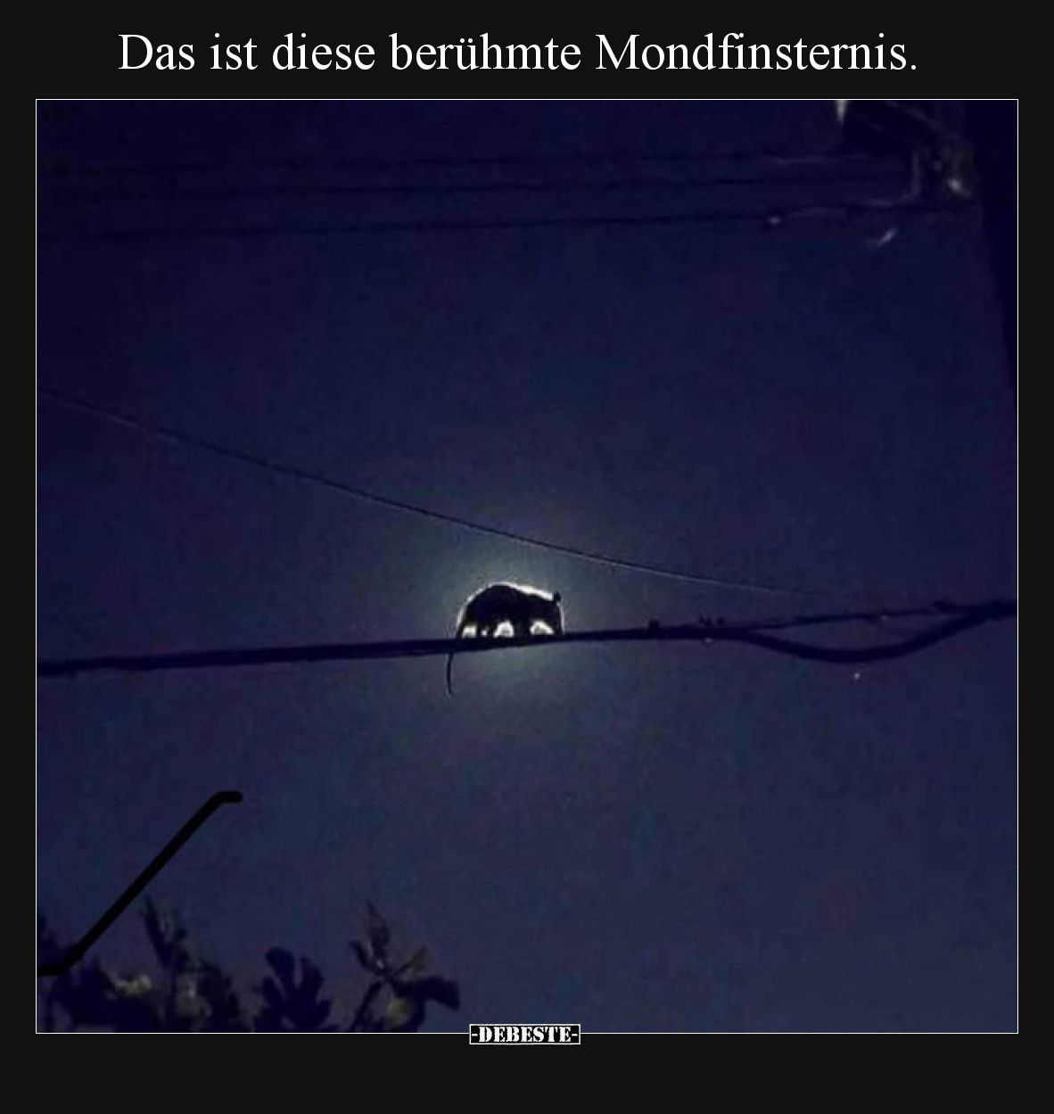 Das ist diese berühmte Mondfinsternis.