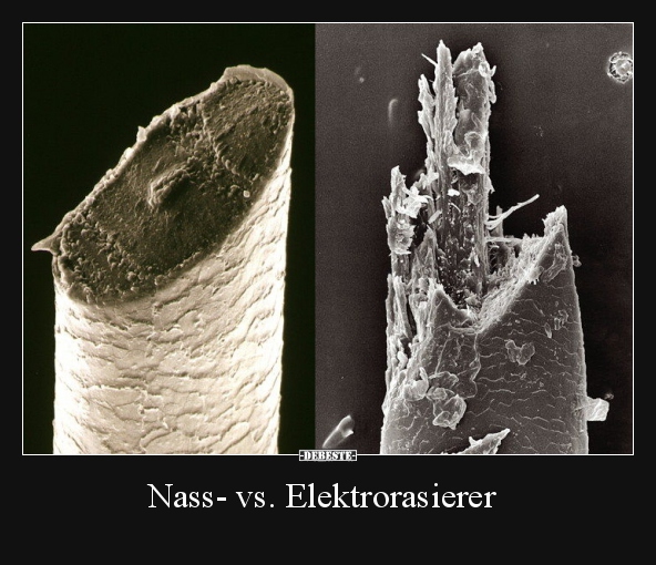 Nass- vs. Elektrorasierer.. - Lustige Bilder | DEBESTE.de