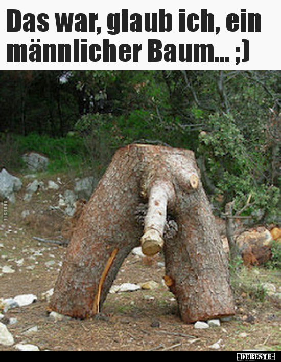 Das war, glaub ich, ein männlicher Baum... ;) - Lustige Bilder | DEBESTE.de