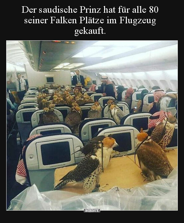 Der saudische Prinz hat für alle 80 seiner Falken Plätze.. - Lustige Bilder | DEBESTE.de
