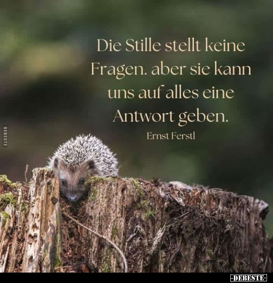 Die Stille stellt keine Fragen.. - Lustige Bilder | DEBESTE.de