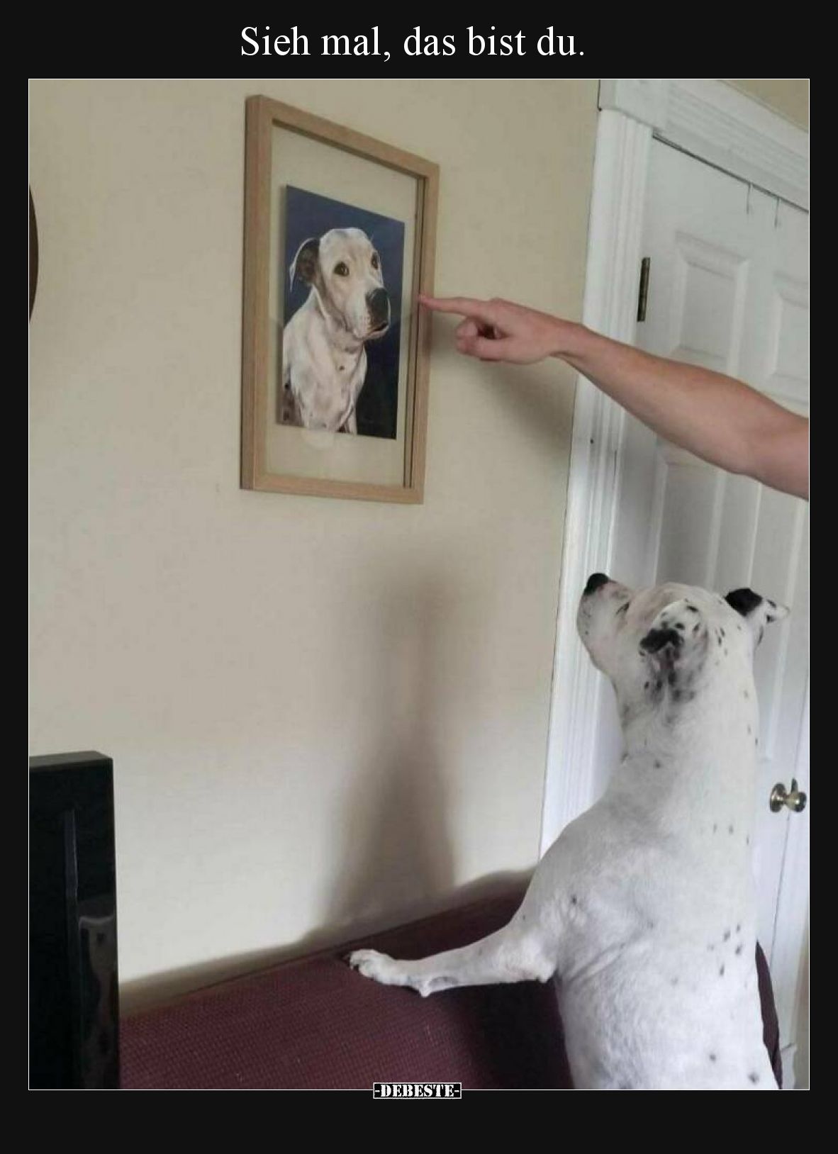 Sieh mal, das bist du.